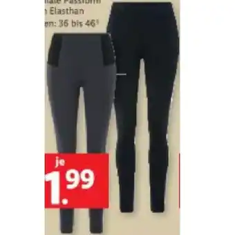 Lidl Damen Jeggings, Lidl Angebot