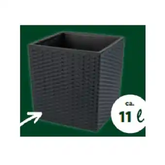 Lidl Pflanzgefäß 27 x 27 x 27 cm Lidl Angebot