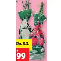 Lidl Edel-, Beet- oder Kletterrose versch. Blütenfarben Lidl Angebot