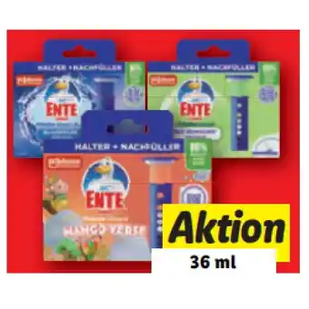 Lidl Stein versch. Sorten Lidl Angebot