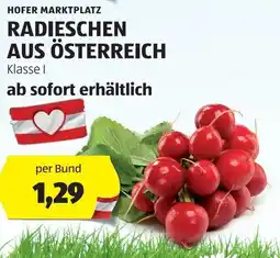 Hofer RADIESCHEN AUS ÖSTERREICH Angebot