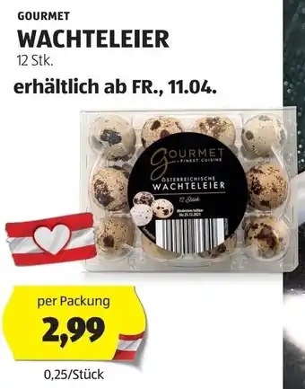 Hofer WACHTELEIER Angebot