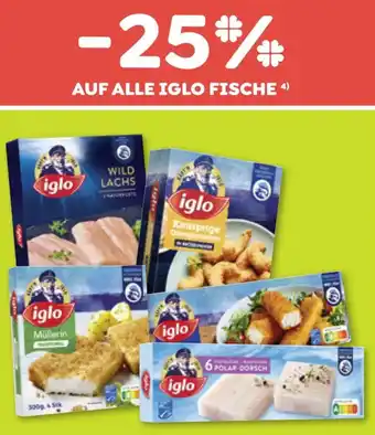 ADEG AUF ALLE IGLO FISCHE Angebot