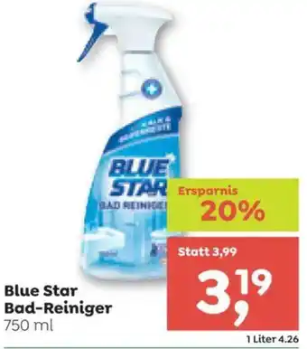 ADEG Blue Star Bad-Reiniger Angebot