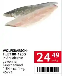 Transgourmet Wolfsbarsch- filet Angebot