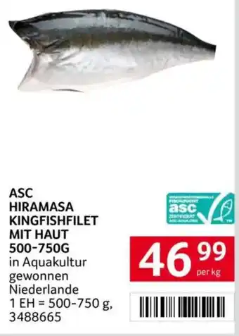 Transgourmet Asc hiramasa kingfishfilet mit haut Angebot