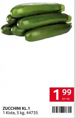 Transgourmet Zucchini kl.1 Angebot