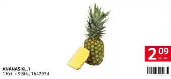 Transgourmet Ananas kl.1 Angebot