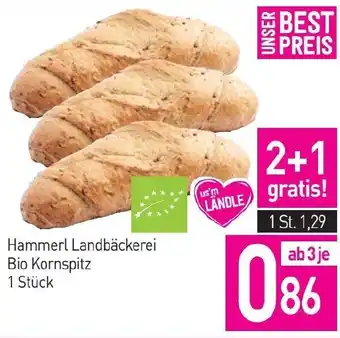 Sutterlüty Hammerl Landbäckerei Bio Kornspitz Angebot