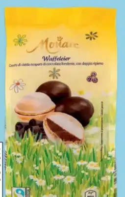 Hofer Monarc Waffeleier Angebot