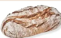 MPreis alpenbäckerei Bio Krustenbrot Angebot