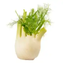 Billa Bio-Fenchel BILLA Angebot