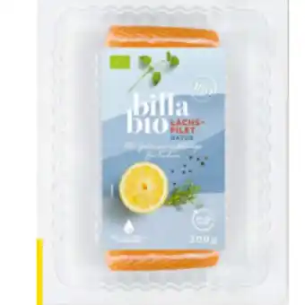 Billa Bio-Lachsfilet BILLA Angebot