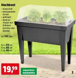 Thomas Philipps Hochbeet Angebot