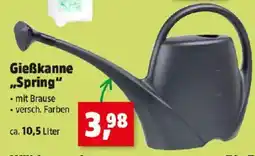 Thomas Philipps Gießkanne ,,Spring Angebot