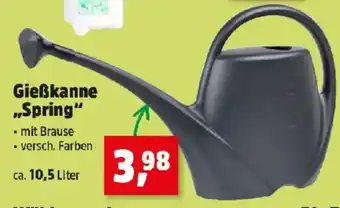Thomas Philipps Gießkanne ,,Spring Angebot