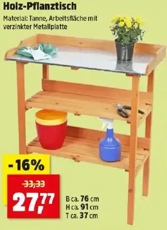 Thomas Philipps Holz-Pflanztisch Angebot