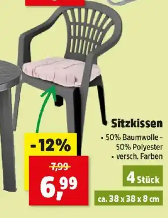 Thomas Philipps Sitzkissen Angebot