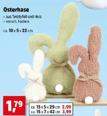 Thomas Philipps Osterhase Angebot