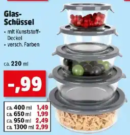 Thomas Philipps Glas- Schüssel Angebot
