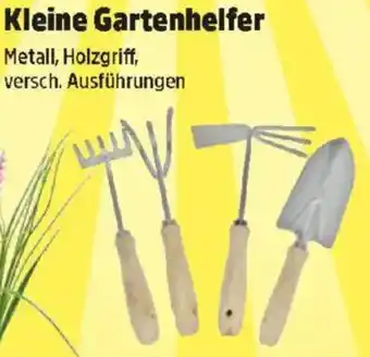 Thomas Philipps Kleine Gartenhelfer Angebot
