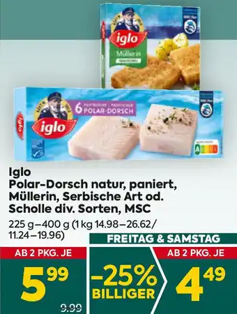 Billa Polar-Dorsch natur, paniert, Müllerin, Serbische Art od. Scholle Angebot