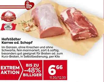 Billa Hofstadter karree od. schopf Angebot