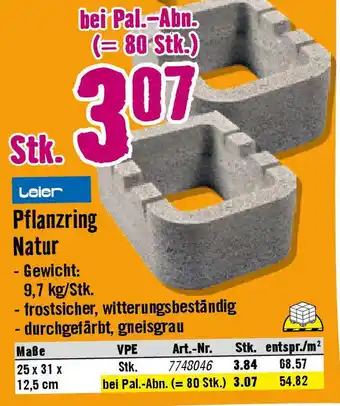 Hornbach Pflanzring Natur Angebot