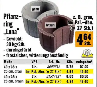 Hornbach Pflanz- ring „Luna Angebot