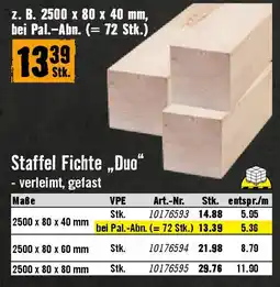 Hornbach Staffel Fichte „Duo Angebot