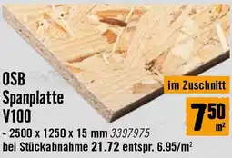 Hornbach OSB Spanplatte V100 Angebot