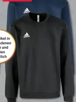 Woolworth Adidas Herren Sweatshirts Angebot