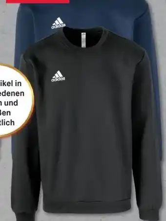 Woolworth Adidas Herren Sweatshirts Angebot