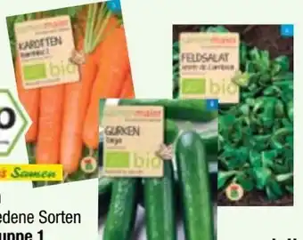 Maximarkt Samen Maier Bio Gemüsesamen Angebot