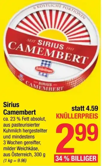 Maximarkt Camembert Angebot