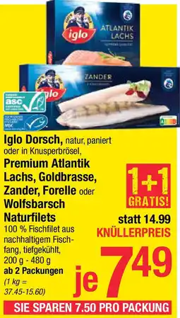 Maximarkt Premium Atlantik Lachs, Goldbrasse, Zander, Forelle oder Wolfsbarsch Naturfilets Angebot