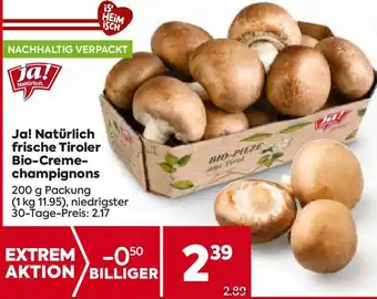 Billa frische Tiroler Bio-Creme- champignons Angebot