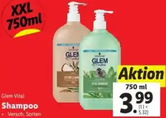 Lidl Shampoo Angebot