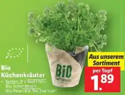 Lidl Bio Küchenkräuter Angebot