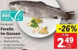 Lidl Forelle Angebot