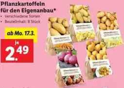 Lidl Pflanzkartoffeln für den Eigenanbau Angebot