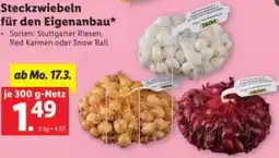 Lidl Steckzwiebeln für den Eigenanbau Angebot