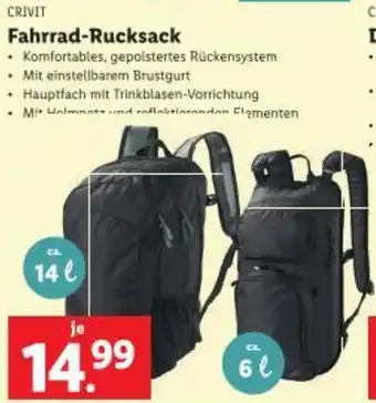 Lidl Fahrrad-Rucksack Angebot