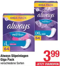 Maximarkt Always Slipeinlagen Angebot