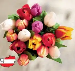 Lidl Tulpenstrauß Kunterbunt Angebot