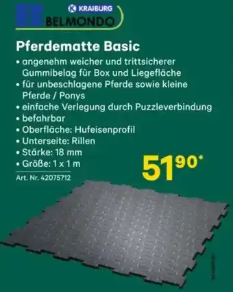 Lagerhaus Pferdematte Basic Angebot