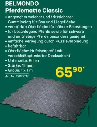 Lagerhaus Pferdematte Classic Angebot