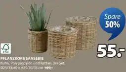 JYSK Pflanzkorb sansebie Angebot