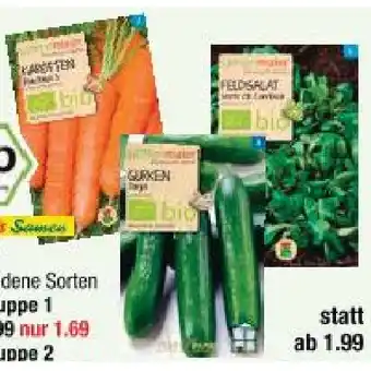 Maximarkt Samen versch. Sorten Maximarkt Angebot