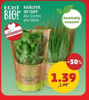 PENNY Echt kräuter Angebot